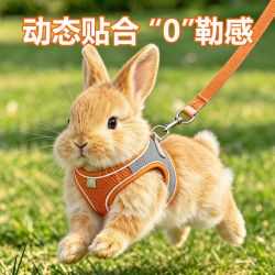 烨棠 兔子牵引绳 天青1.3米扁绳