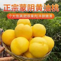 樱鲜 蒙阴黄金油桃 净重2.25斤 新鲜水果