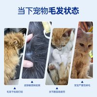 宠护日记 猫咪专用护肤美毛rTG鱼油omgea3卵磷脂鱼油亮毛