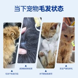 宠护日记 猫咪专用护肤美毛rTG鱼油omgea3卵磷脂鱼油亮毛