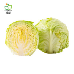 旭耕 国产有机卷心菜 500g