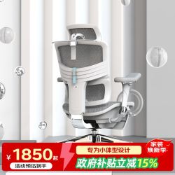 Ergomax 人体工学 电脑椅  雅典灰（标准版）