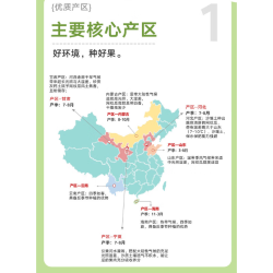 京鲜生 山东网纹瓜 6-7斤 2-3粒装