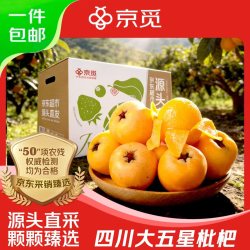 京觅 四川米易大五星枇杷 净重3斤 单果50g 新鲜团购水果源头直发