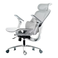 黑白调 P2Pro二代 4D腰托 霜白 线控+720°扶手 电脑椅