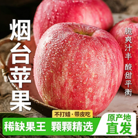 正鲜季 冰糖心 苹果 果径85mm-90mm 5斤 净重4.8斤