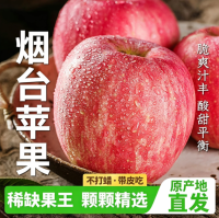 正鲜季 冰糖心 苹果 果径85mm-90mm 5斤 净重4.8斤