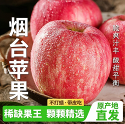 正鲜季 冰糖心 苹果 果径85mm-90mm 5斤 净重4.8斤