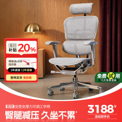 Ergonor 保友金豪E2 Pro人体工学椅 办公椅电脑椅 银白网