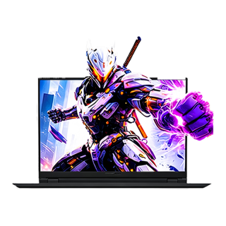 机械革命 极光X i5-14450HX RTX4050 16GB+512GB 游戏本