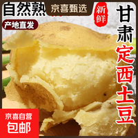 京喜 甘肃定西 黄皮土豆 1斤