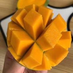 京喜加 黄皮凯特芒 带箱10斤 芒果