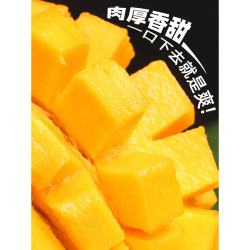 京喜加 黄皮凯特芒 带箱10斤 芒果