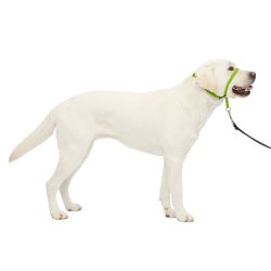 PetSafe 头套式牵引项圈 大型犬防拉训练 尼龙柔软鼻环 可调节舒适 苹果绿