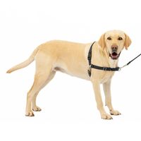 PetSafe 狗狗防拉扯胸背带 前胸牵引 尼龙材质 可调节透气 大号黑银色
