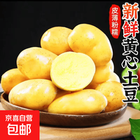 京喜自营-专用品牌 精品 国产黄心黄皮土豆 1斤