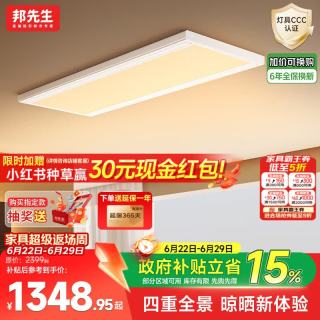 邦先生 电动晾衣架双杆L21PRO
