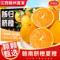 京地达 橙子赣南脐橙夏橙 净重9斤单果200g+