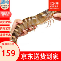 鲜活人生 竹节虾净重450g 3-5只超大斑节海虾九节虾 生鲜虾类 源头直发包邮