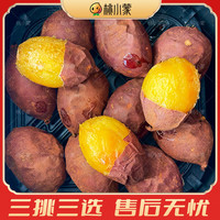 桃小蒙 国产蜜薯 软糯香甜红薯 1kg