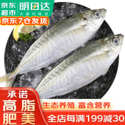 哆鲜生 养殖巴浪鱼 鲜活冷冻土豪鱼竹夹盐焗小池鱼蓝圆鲹东山岛高端鱼类 净重600-500g/2条装