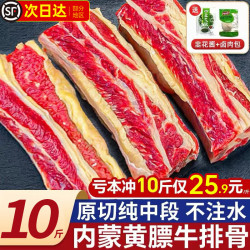 缤鲜 四肋牛排五肋黄膘草原饲切旗舰 新鲜带肉牛肋排条牛肉带骨冷冻 10斤装