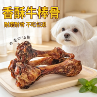 馋乐滋 狗狗零食磨牙棒牛棒骨大骨头金毛中大型小型幼犬洁齿训练奖励宠物