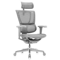 Ergonor 优旗舰版 人体工学电脑椅 灰色+银白色