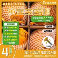 锦润心海南黄金椰新鲜采摘椰果天然椰子水椰青孕妇补羊水-宝宝椰单果2斤 分享装4