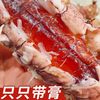 卖鱼郎先生 鲜活冷冻特大带膏虾爬子 椒盐即食