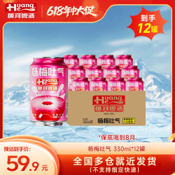 黄河啤酒 百香果+杨梅果酒麦汁啤酒 10°P 330ml*12罐