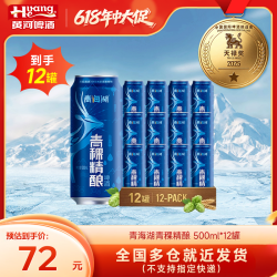 青海湖 青稞精酿啤酒 500ml*12罐