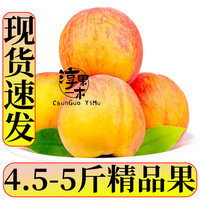 淳果一木 新鲜黄桃 净重4.5-5斤