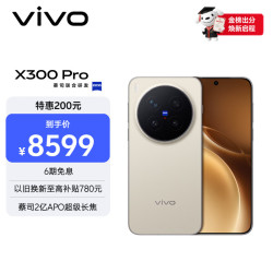 vivo 蔡司2亿APO超级长焦 拍照手机+摄影师套装  旷野棕 16GB 1TB