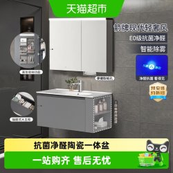 箭牌 灰色浴室柜组合陶瓷一体盆卫生间洗漱洗手洗脸盆柜组合0
