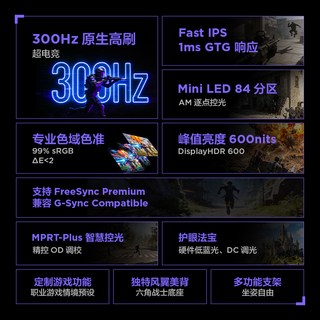 雷鸟 25Q5A 300Hz高刷 灰色 24.5英寸显示器