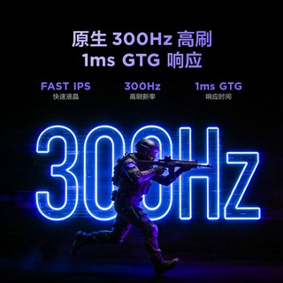 雷鸟 25Q5A 300Hz高刷 灰色 24.5英寸显示器