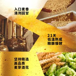 SAPPORO 三宝乐精酿啤酒350ml*6听日本原装进口