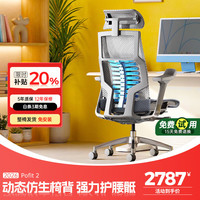 Ergonor 智能 人体工学椅 联动扶手  银白美国网(云感科技座垫) 转椅