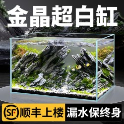初迪 2026超白缸长方形玻璃金鱼缸小型桌面客厅家用乌龟缸生态草缸