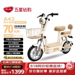 五星钻豹 A43 电动自行车 100360433622 48V22AH