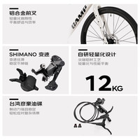 坎普 GX300 铝合金内走线油压碟刹平把公路车