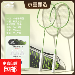 德尔惠 羽毛球拍全碳素纤维一体耐打专业比赛级超弹室外对拍 4U双拍