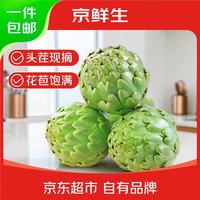 京鲜生 云南新鲜洋蓟 1斤 单果100g+