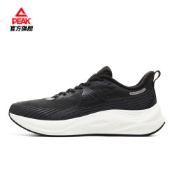匹克 态极骋风2.0跑步鞋男鞋轻便减震休闲运动鞋子男DH510007