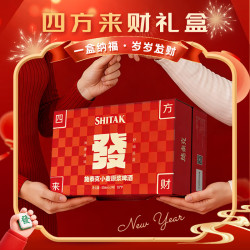 天湖啤酒 10度精酿白啤 500ml*24罐