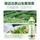 元气森林 生普洱茶饮料500ml*4瓶
