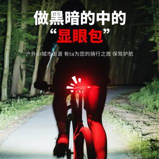 SHENYU 强光警示尾灯 快速拆装 自行车配件