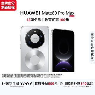 华为 Mate 80 Pro Max 手机 16GB+512GB 极地银