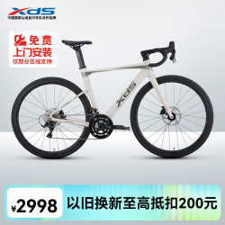 喜德盛 AD300 公路自行车 幻彩紫/银 18速 700C*510
